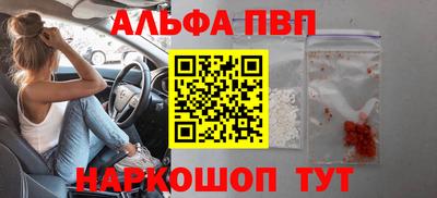 гашик Волжский