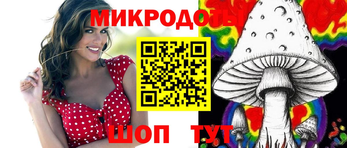 Галлюциногенные грибы Psilocybine cubensis  Вход с VPN  Белореченск 